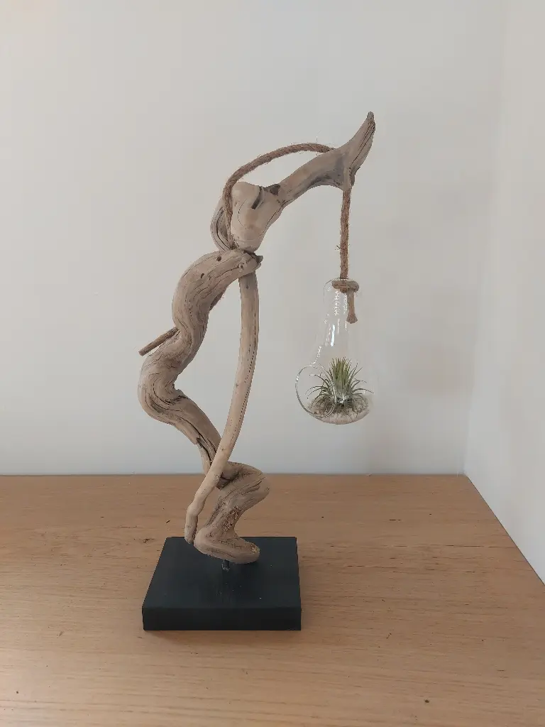 Nature et design